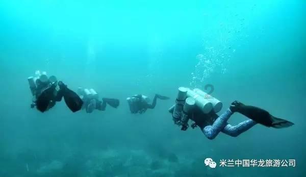 好策官网-专业问答类网站